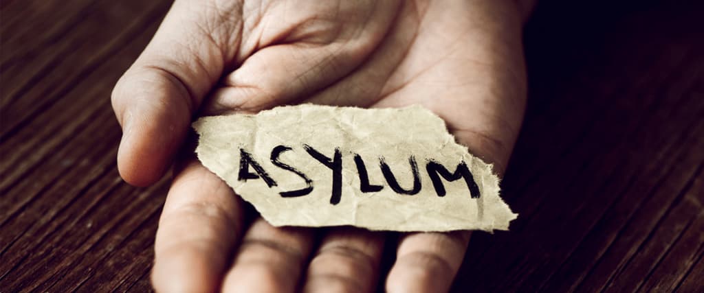 Political Asylum